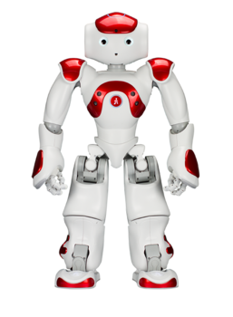 RemoRobo System on NAO Robot
